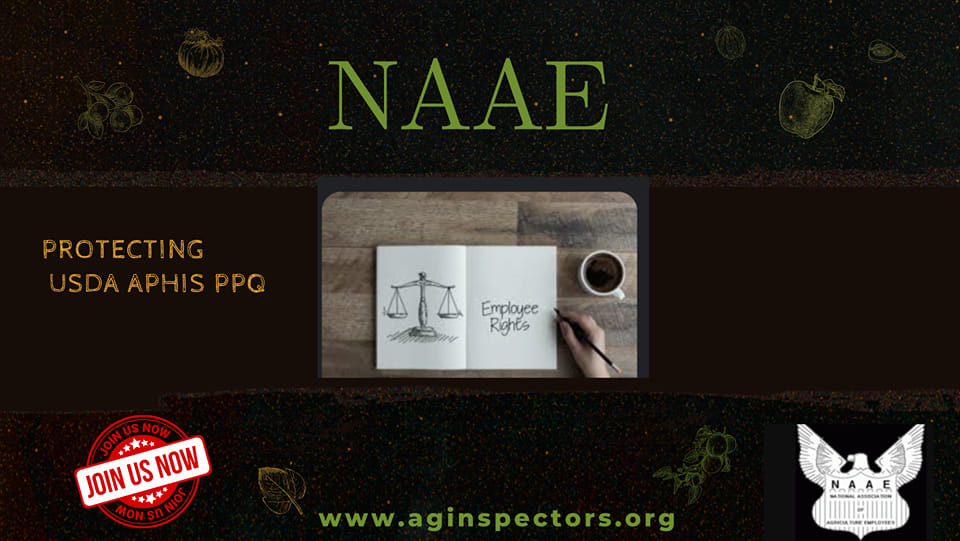 NAAE | Facebook