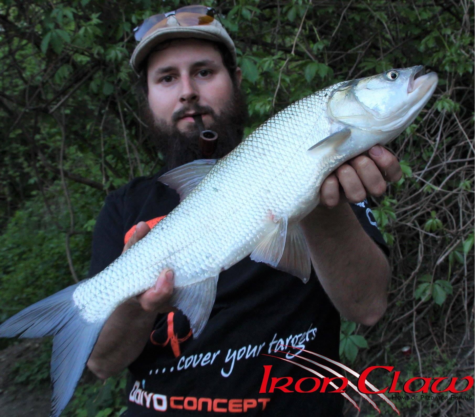 Sänger Top Tackle Systems Trolling Weight Kutscher Produktbild-Vorschau 5