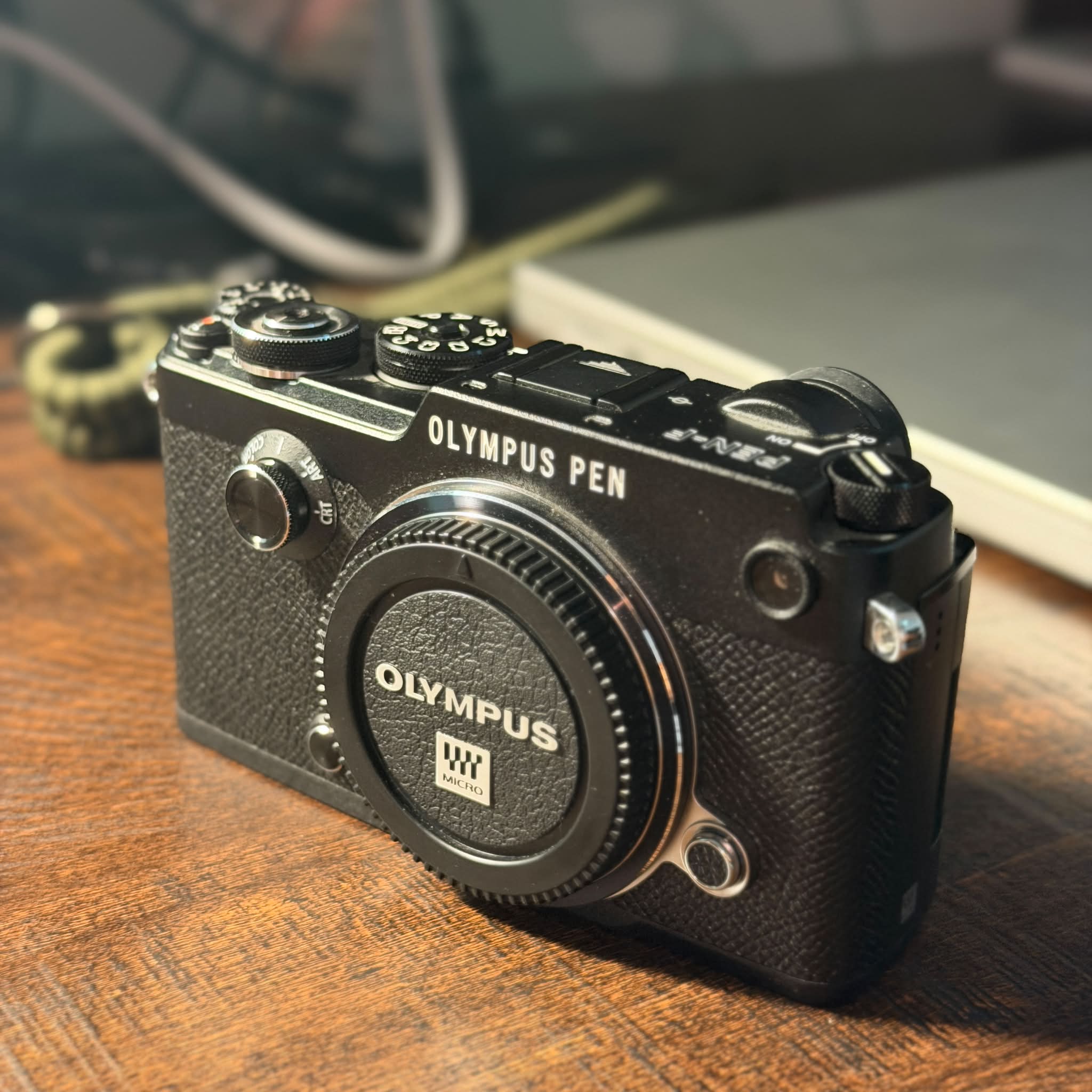 Lumix 20mm 1.7 lens on Pen E-PL7