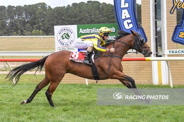 A gutsy win by our tough mare She... - Jason Warren Racing