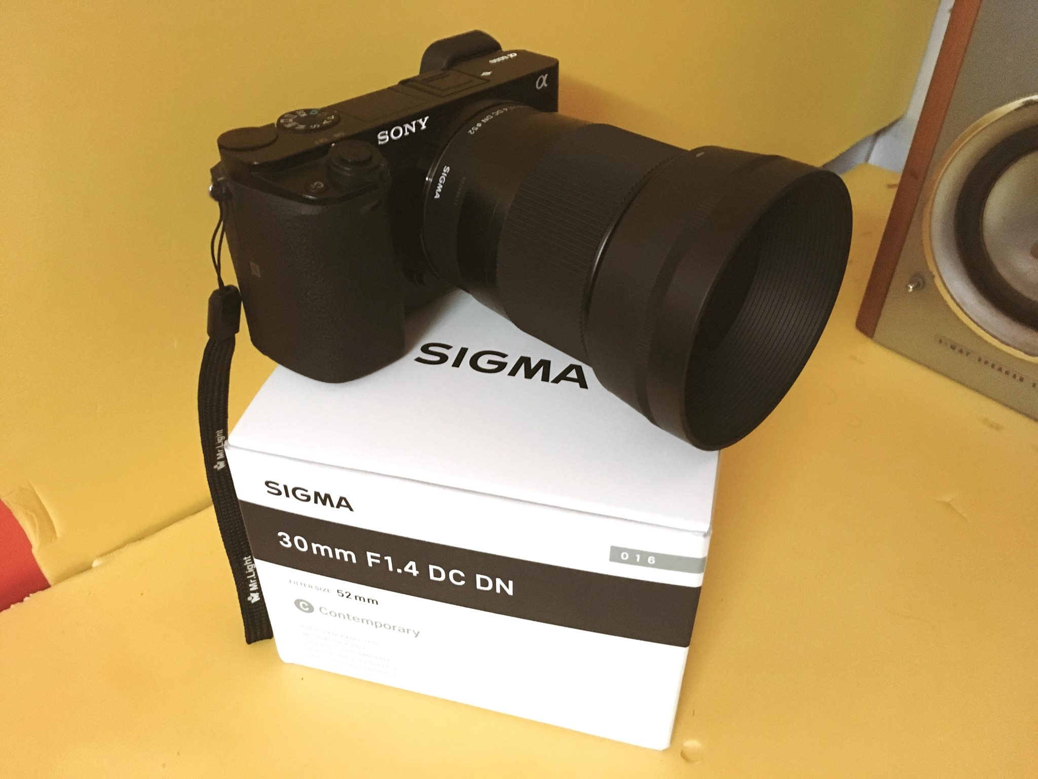 Sigma 30mm 1.4 for Sony. A compact lens which gives awesome bokeh