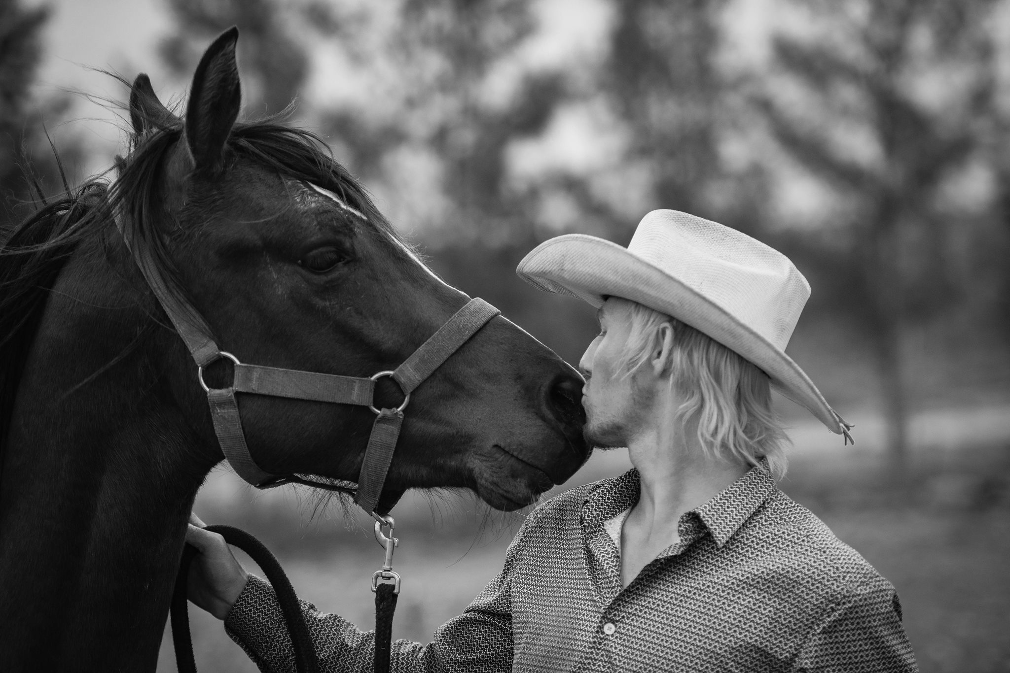 Roux Horsemanship | Modimolle