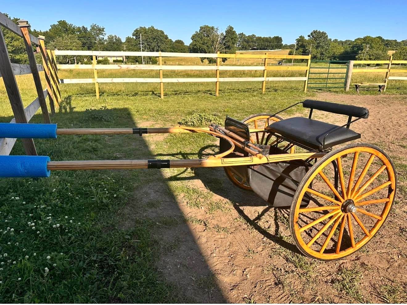 Amish Hack Buggy Carriage Horse Related - Dune Buggies & Sand Rails ...