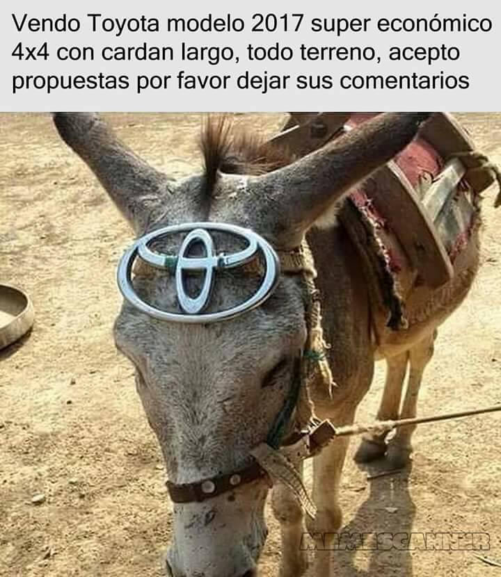 Memes rancheros