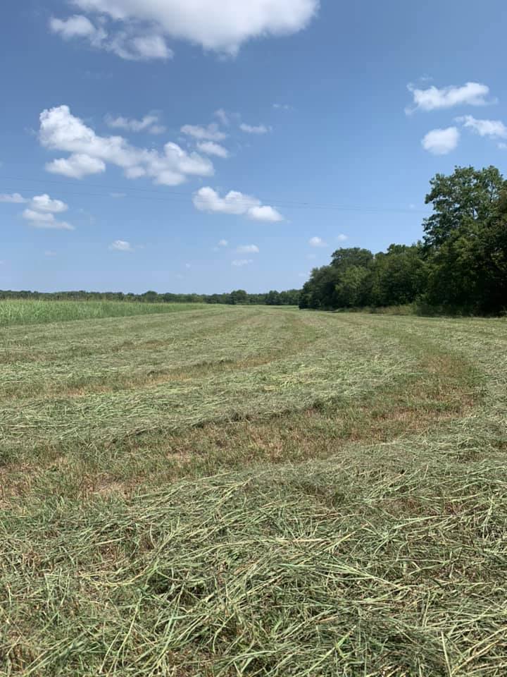 3P Family Ranch | Walnut Springs TX