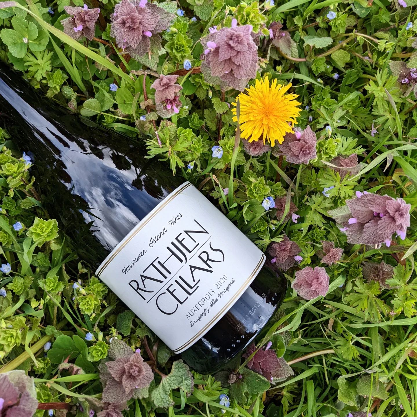 Rathjen Cellars - ON TO SPRING & PRETTIER THINGS 🌸 New... | Facebook