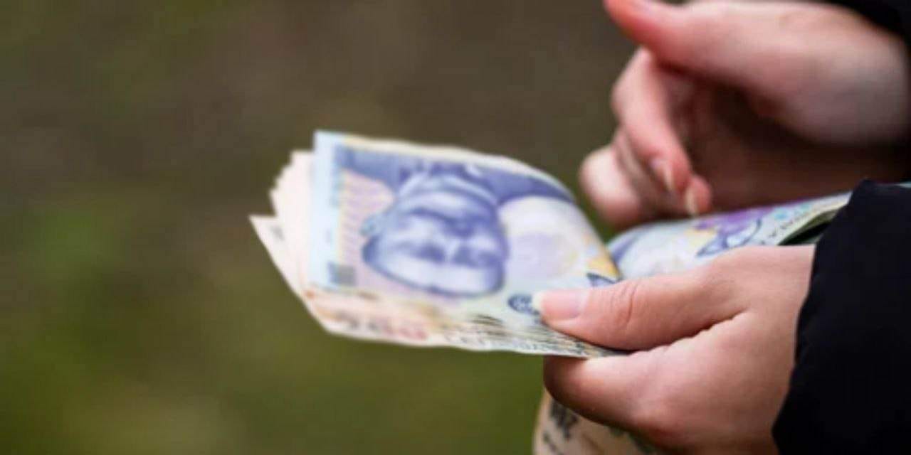 Angajari / Job-uri / Locuri de munca din jud Neamt | PRIMELE 50 ...