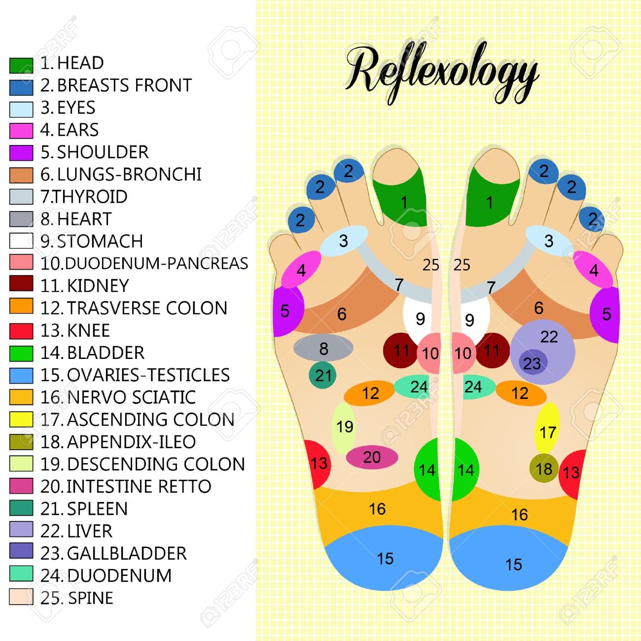 Thai Roots - Foot Reflexology Massage The Potential... | Facebook