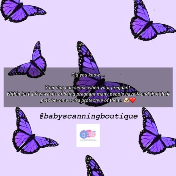 🐶🥰... #baby #ultrasound #3D/4D... - Baby Scanning Boutique | Facebook