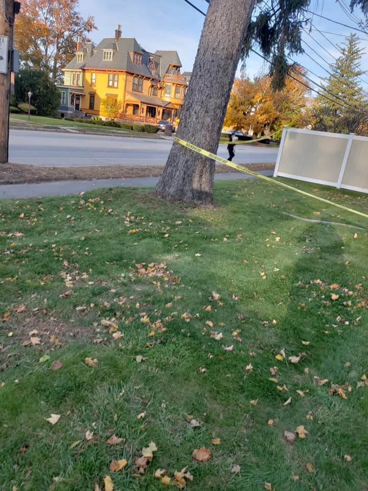 AMG Tree & Landscaping | Andover MA