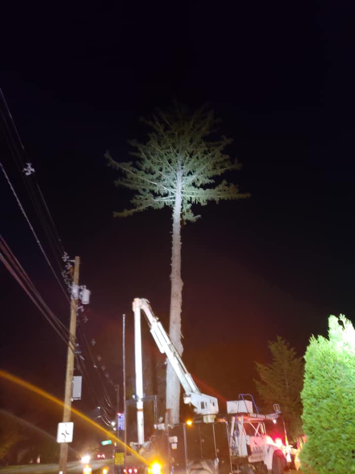 AMG Tree & Landscaping | Andover MA