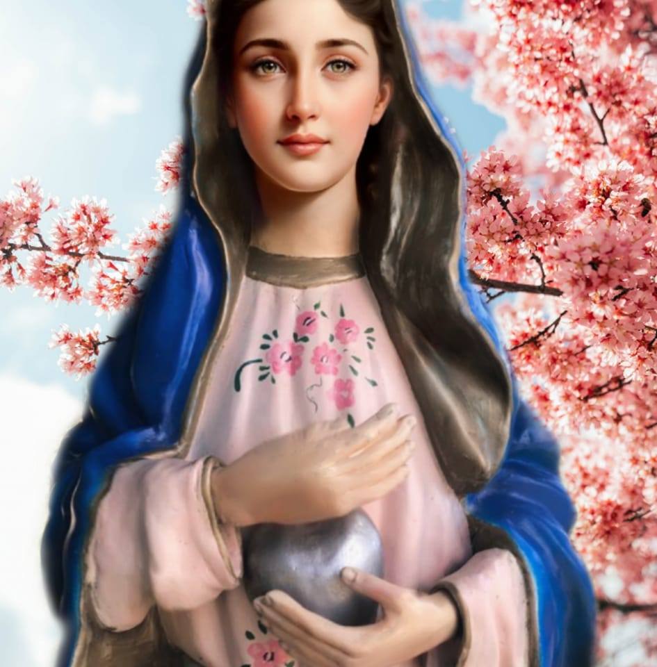 Virgen María Lava Corazones