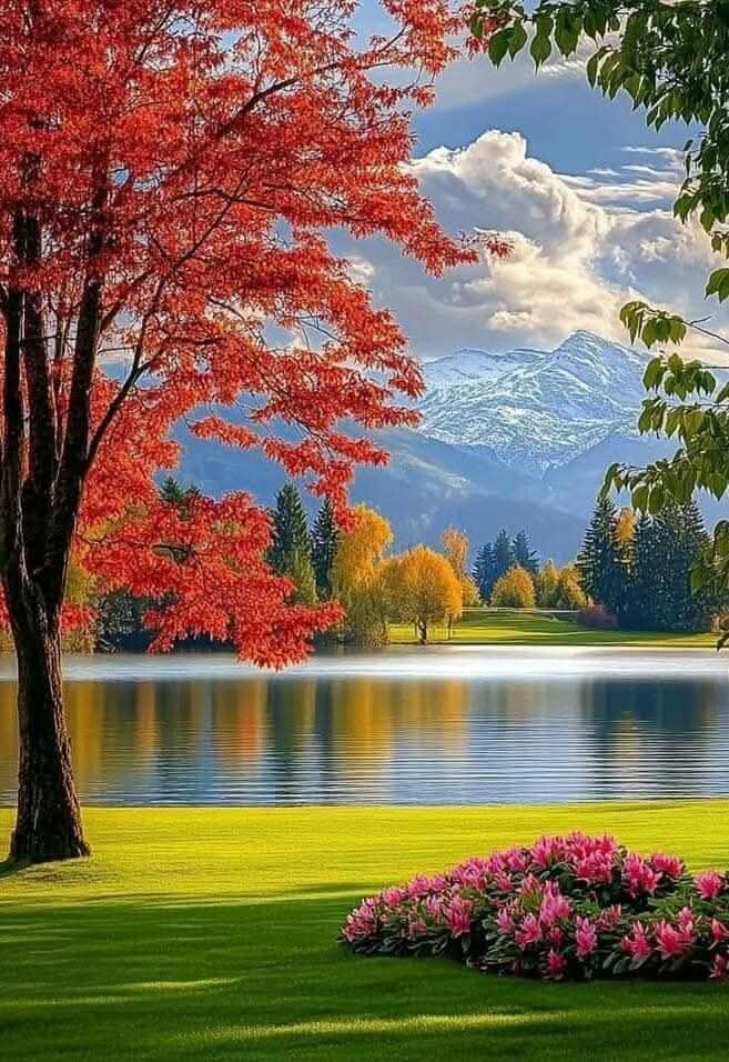 Enjoy the Natural Beauty and have a beautiful Wednesday. [NATURAL 