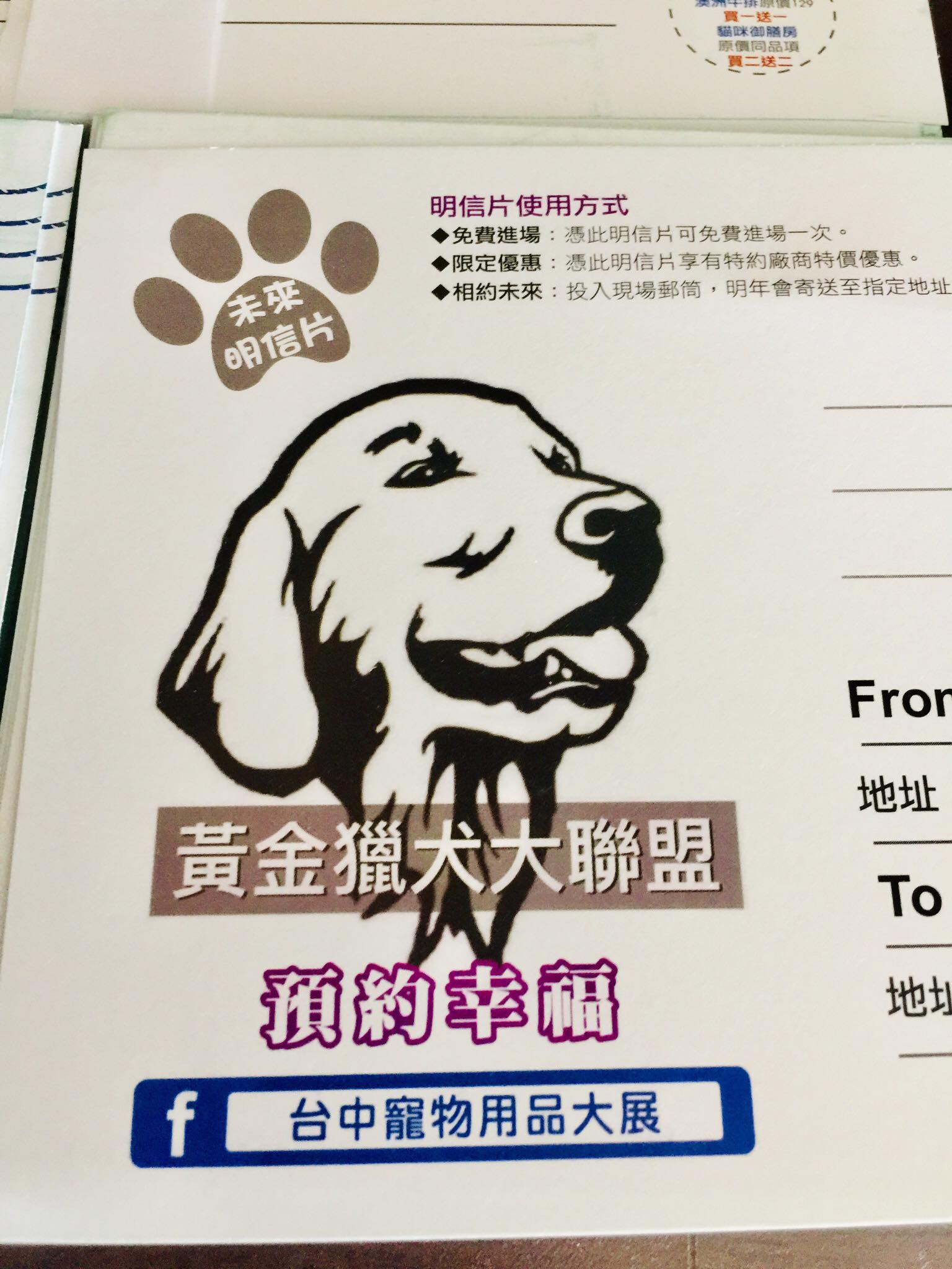 黃金獵犬大聯盟一認養 協尋 救援區 Posts Facebook