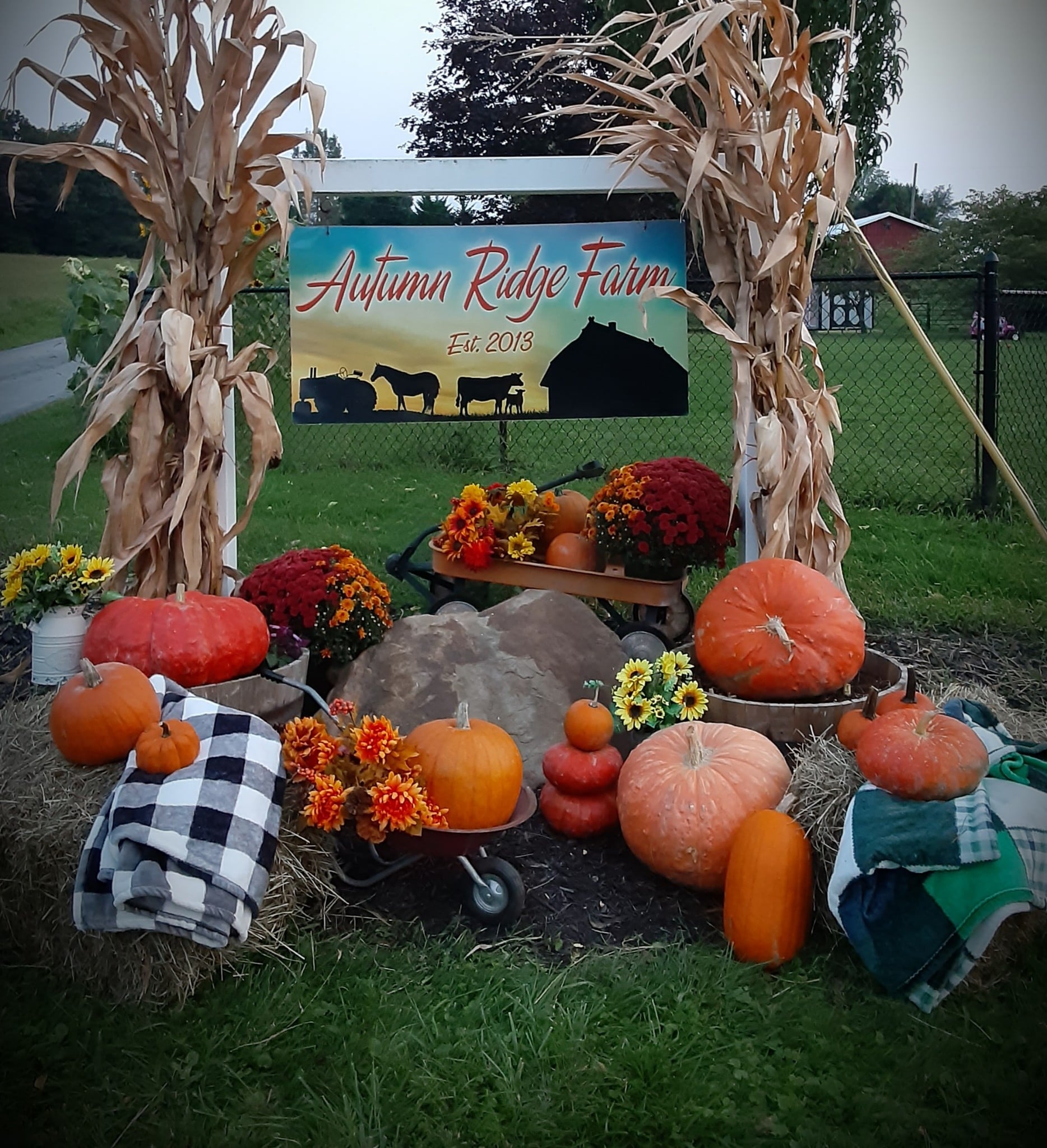 Congratulations to Kaylie R. for... - Autumn Ridge Farm
