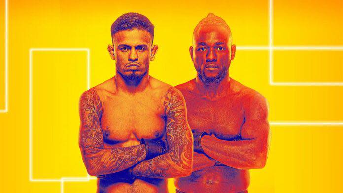Fight Junkies 👊🏼 | Take your political bullshit elsewhere | Facebook