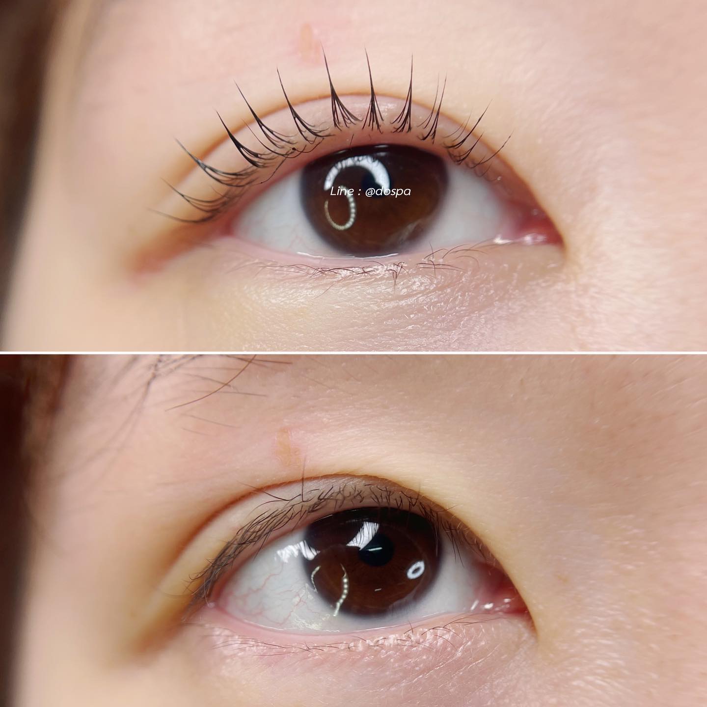 มาแว้วววว ขนตาสวยทันปีใหม่ รีบจองเด้อจ้าาา ขนตาเด้ง สุขภาพดี ดีโอสปา x ...