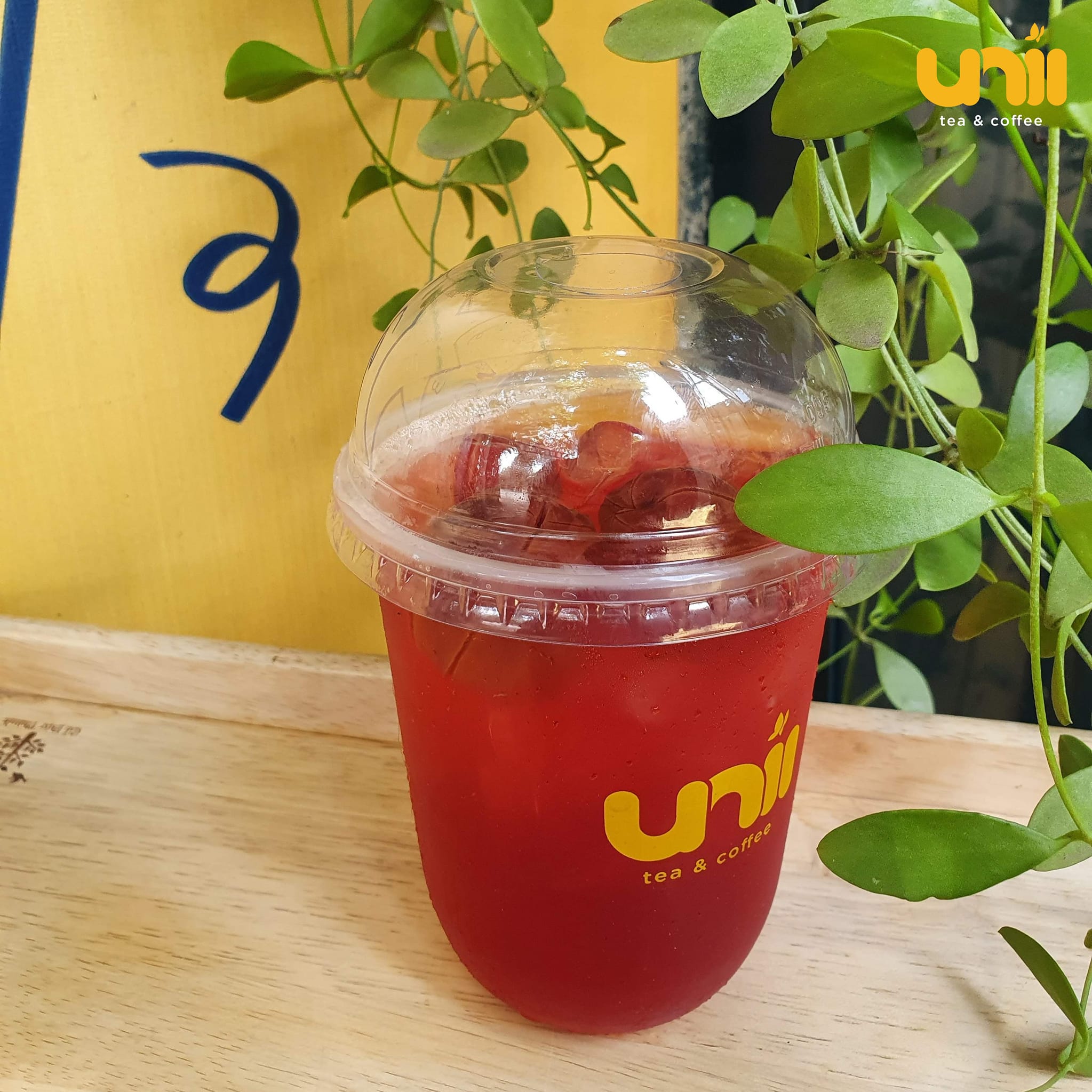 Unii Tea | Tây Ninh
