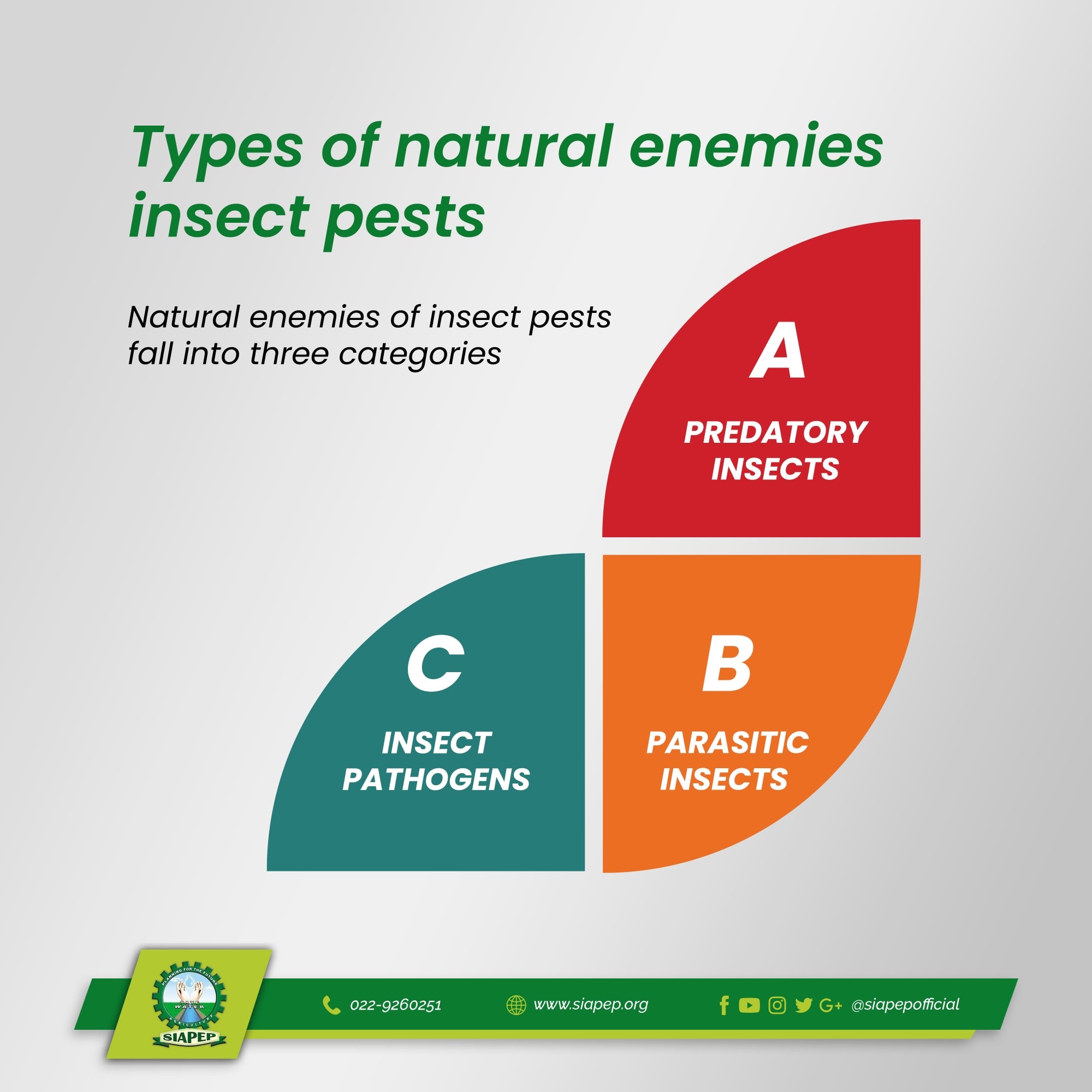 Siapepofficial - Types of natural enemies insect pests....