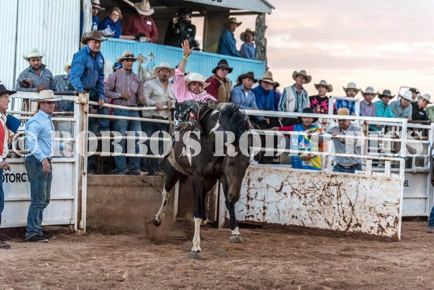 Carrieton Rodeo - Top 10 photos from 2017 Rodeo.