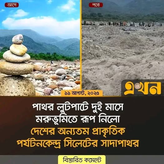 রিদওয়ান আল মাহমুদ