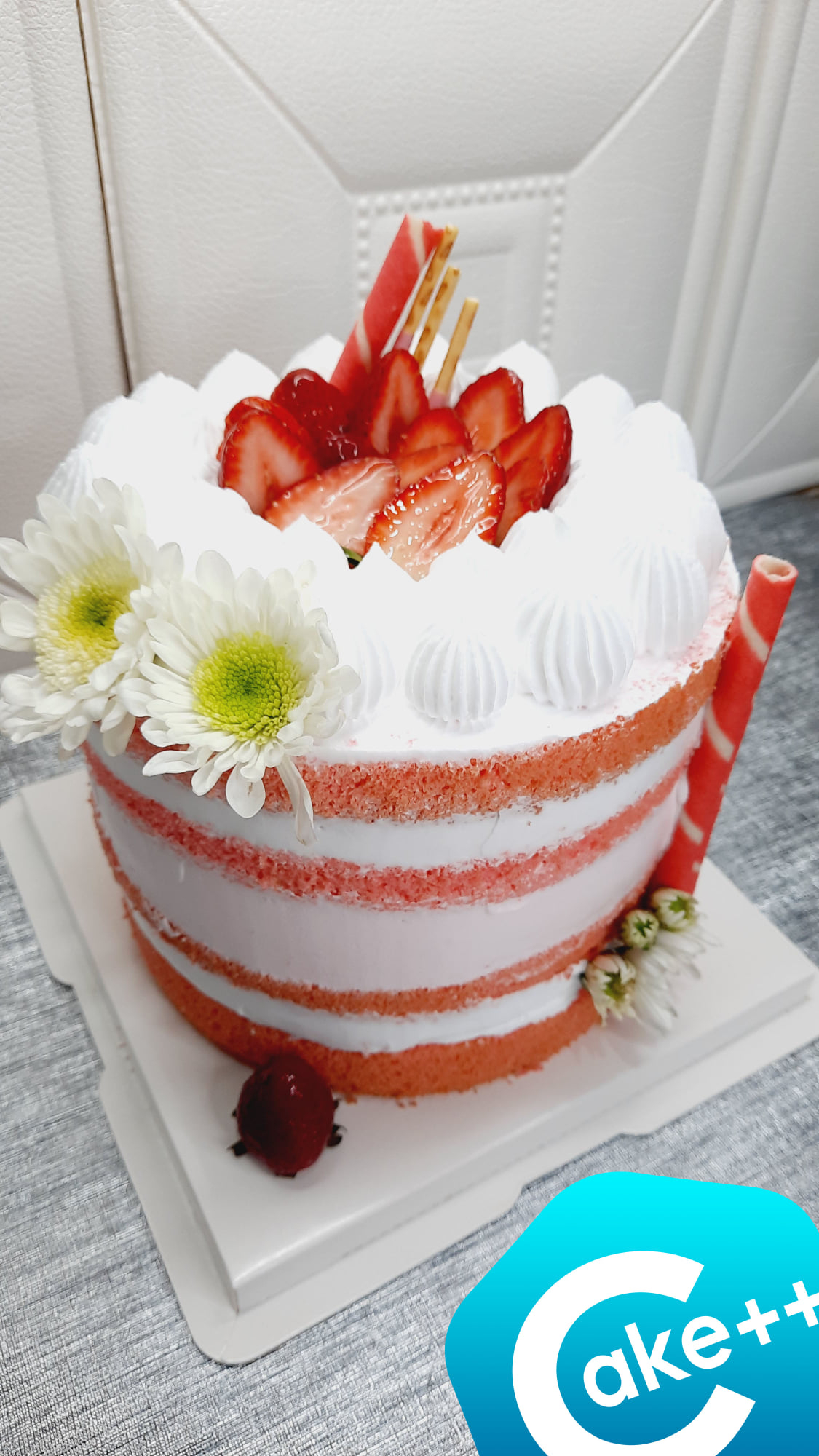 Cake Plus Plus