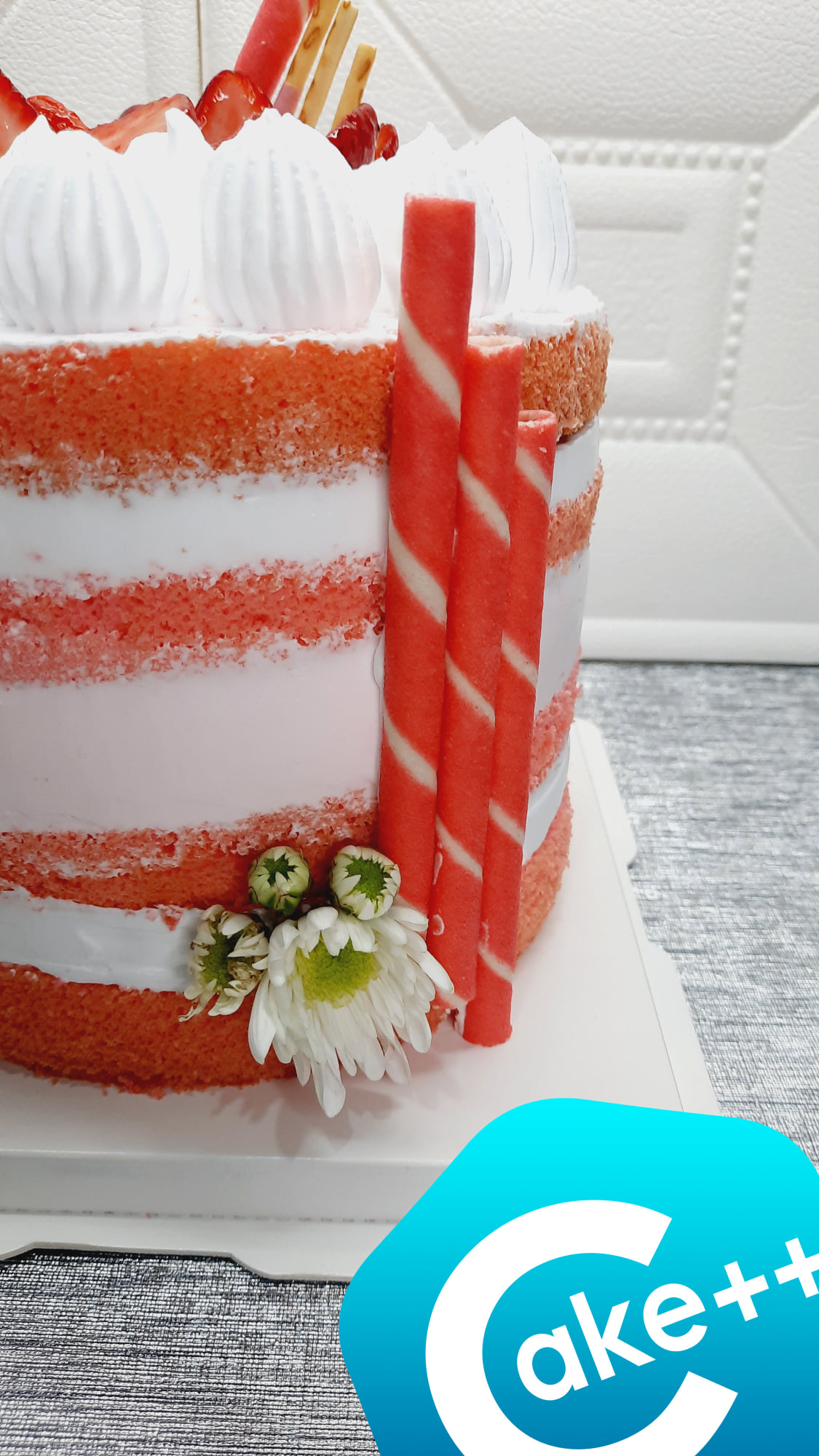 Cake Plus Plus