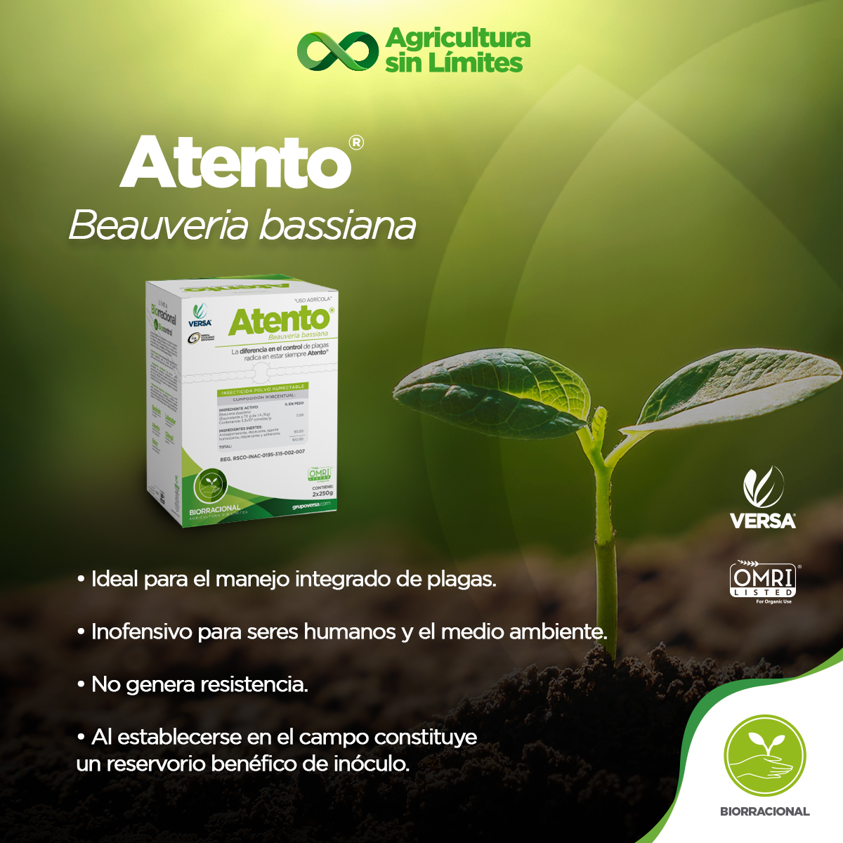 Grupo Versa - #Atento es ideal para el manejo de plagas en... | Facebook
