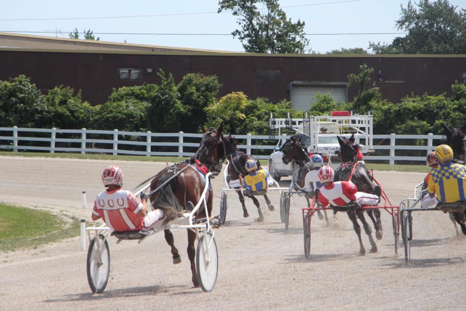Lakeshore Horse Racing Association | Leamington ON