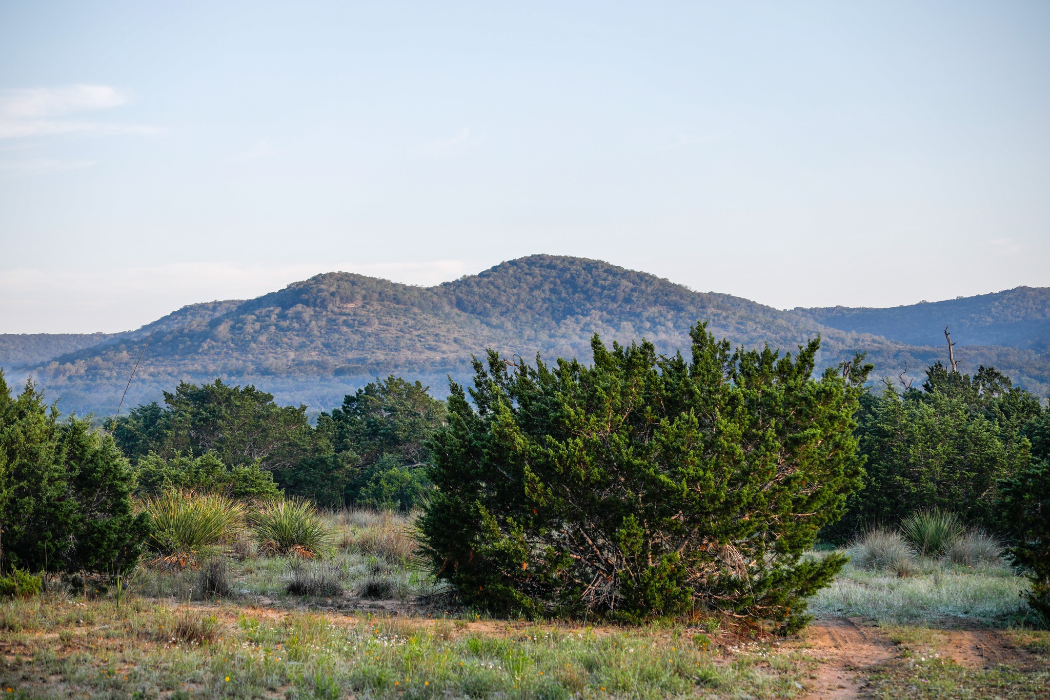 Shipley Ranches | Austin TX