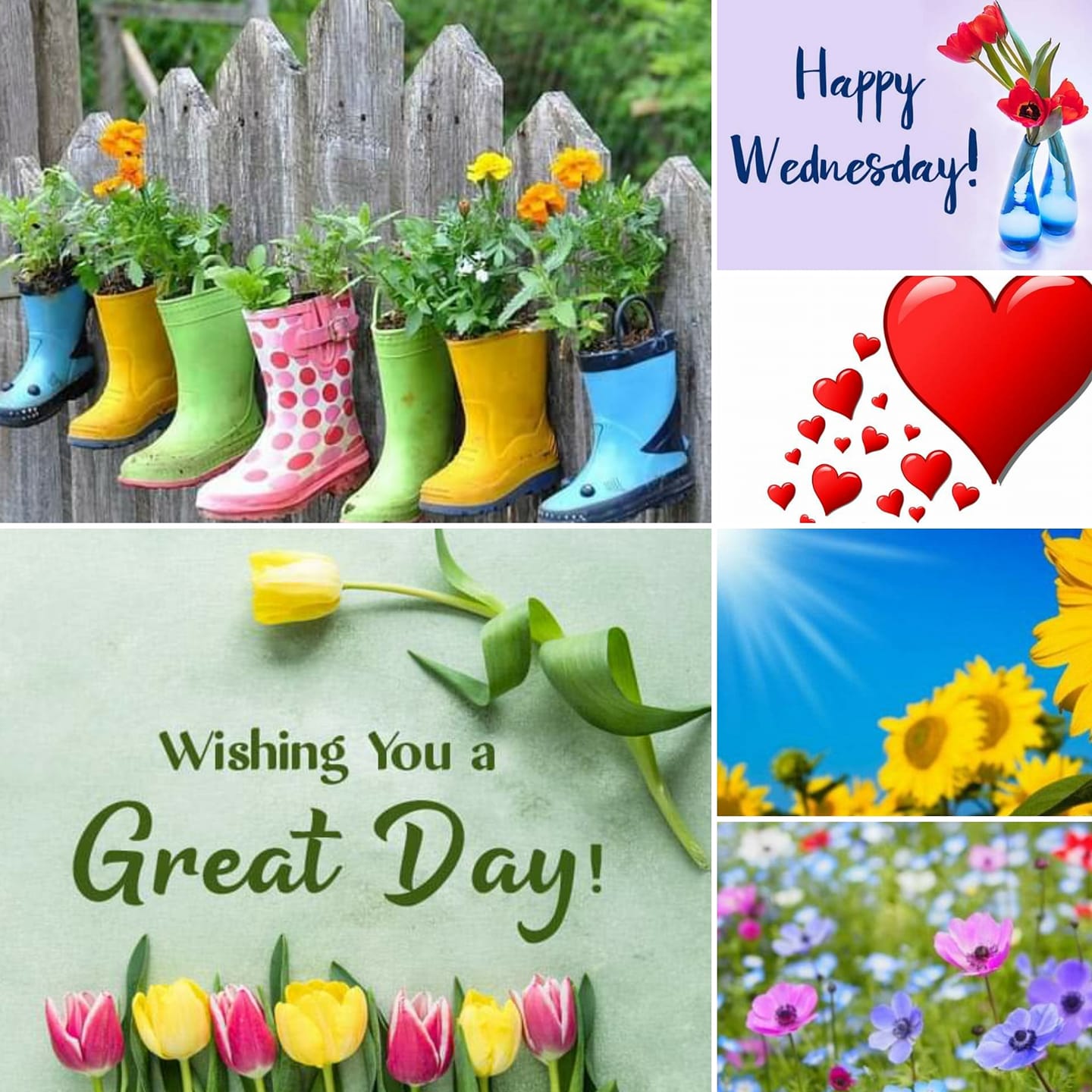 Good Morning Happy Wednesday Everyone I hope you find many  