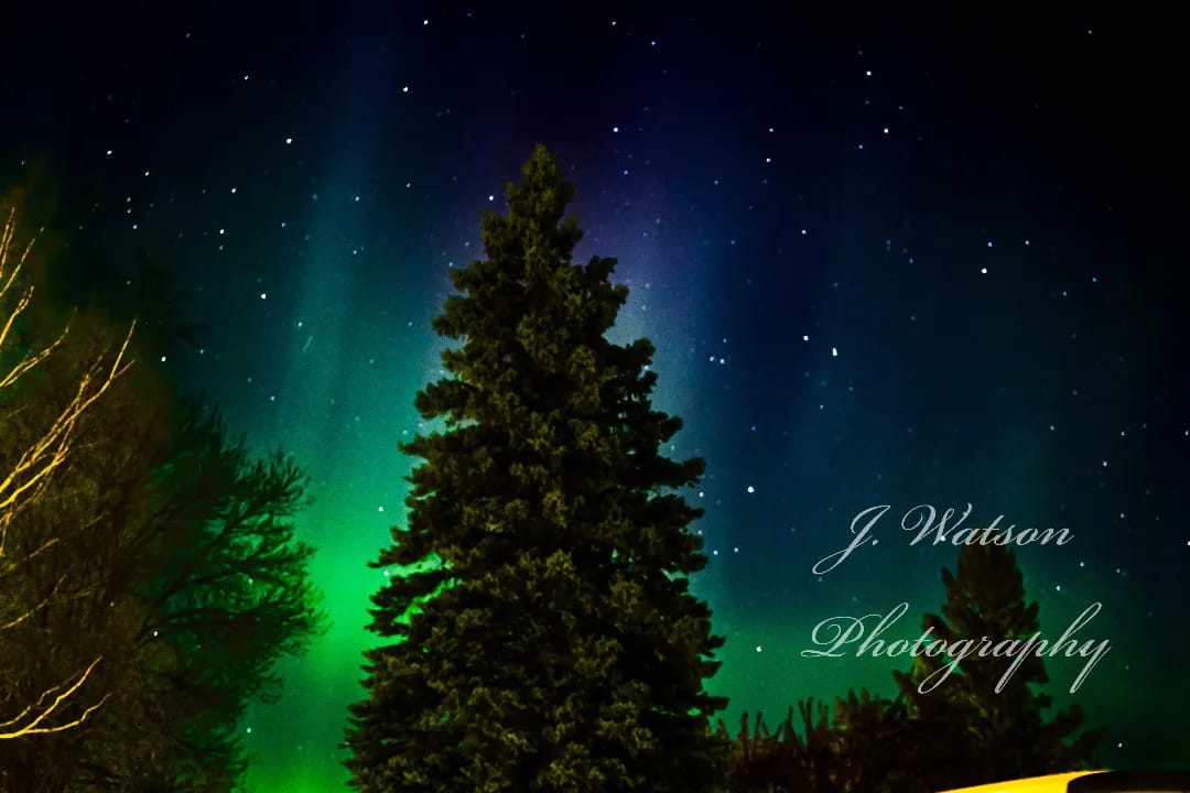 Gotta love aurora borealis in Northern Minnesota!!! Z5 with 35 mm