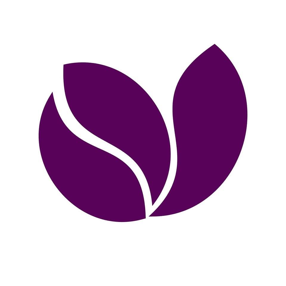 Violet Academy
