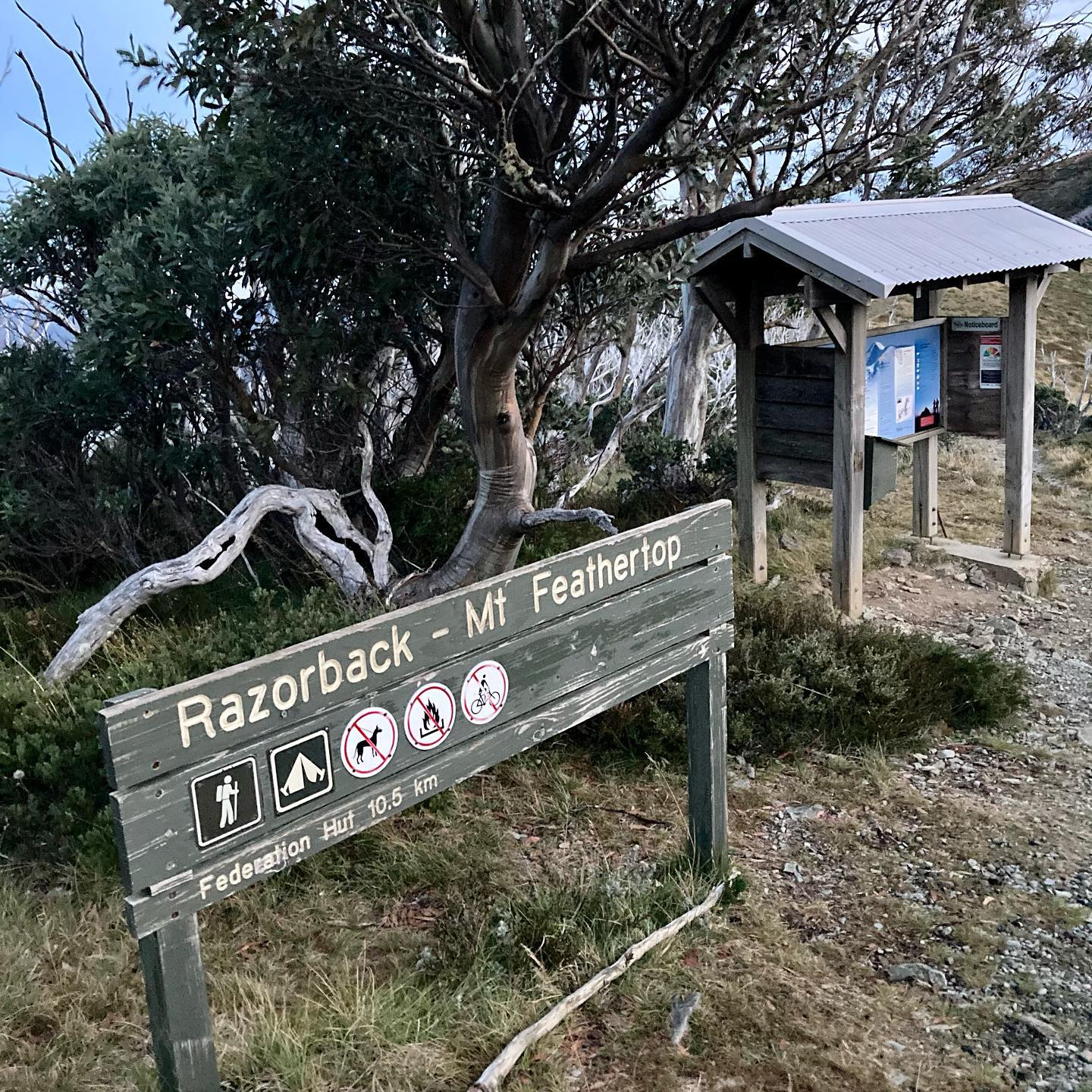Hotham - Free Hotham Village Shuttle for hikers over Easter. MHARMB is ...