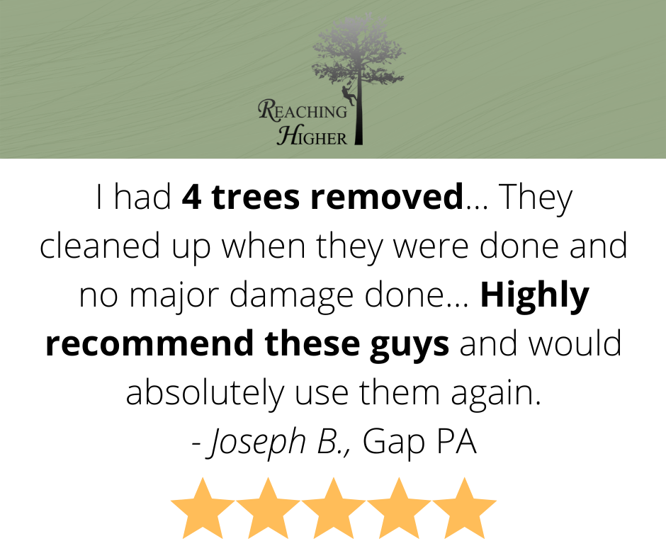 It was a pleasure serving... - Reaching Higher Tree Care | Facebook