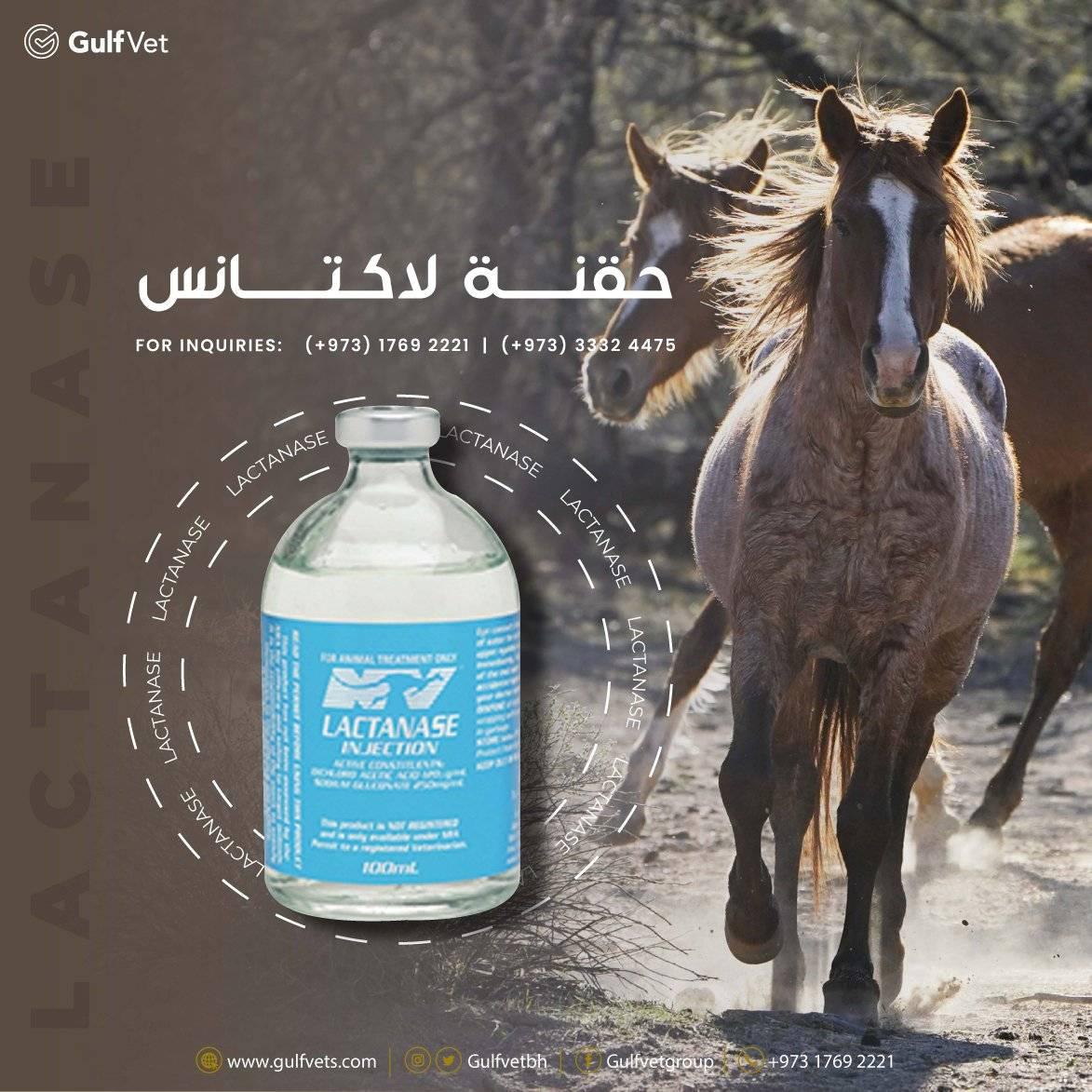 Lactanase Injection 🔸حقنة... - Gulf Veterinary Centre | Facebook