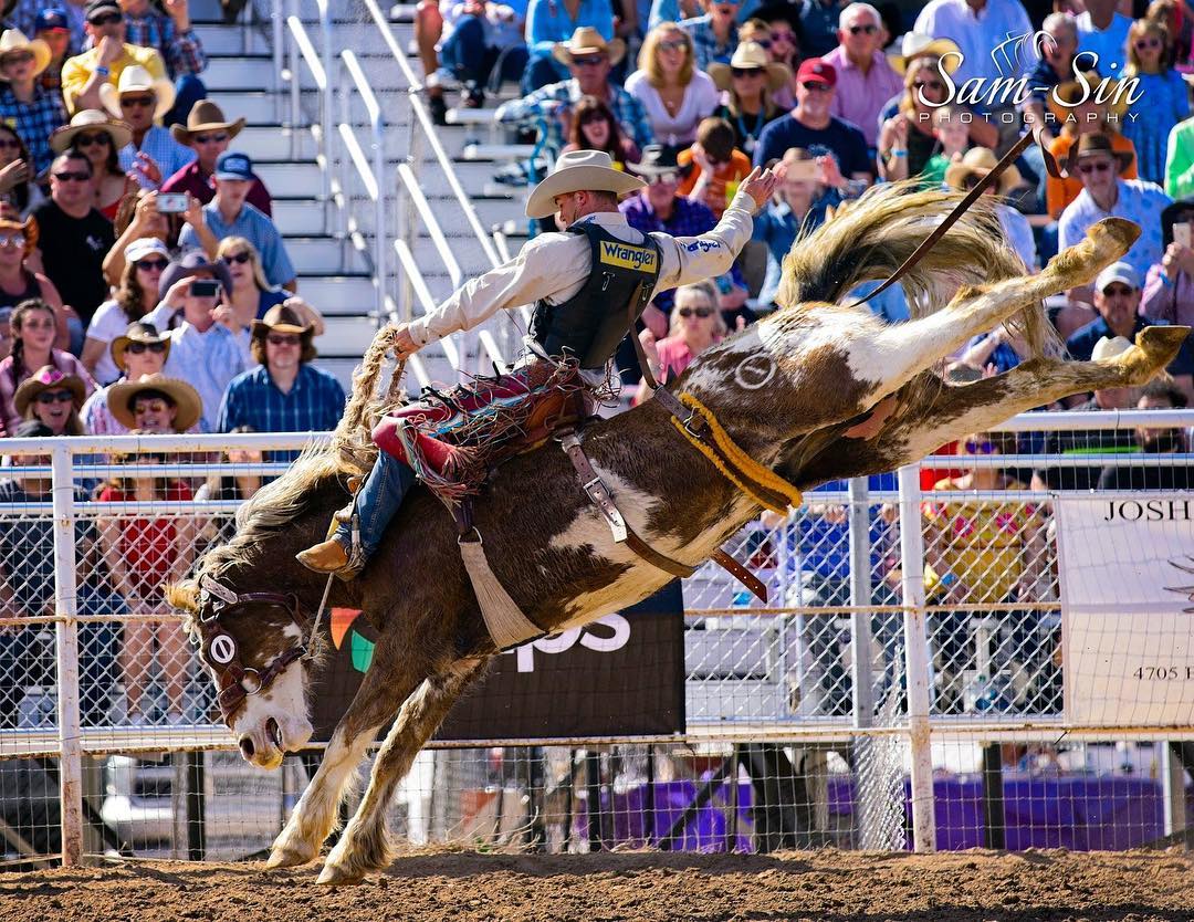 Bronc - CAVE CREEK, Arizona - When CoBurn Bradshaw was courting his ...