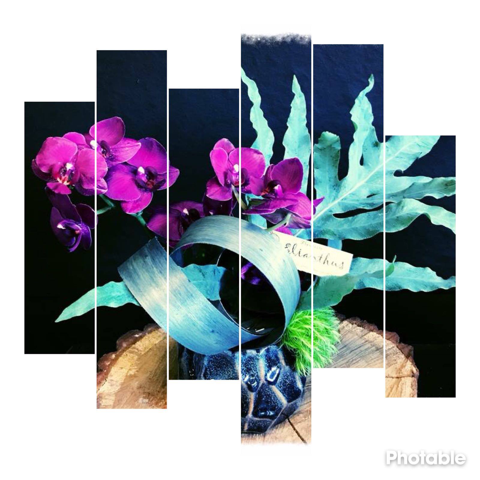 Fleuriste Elianthus Home Facebook