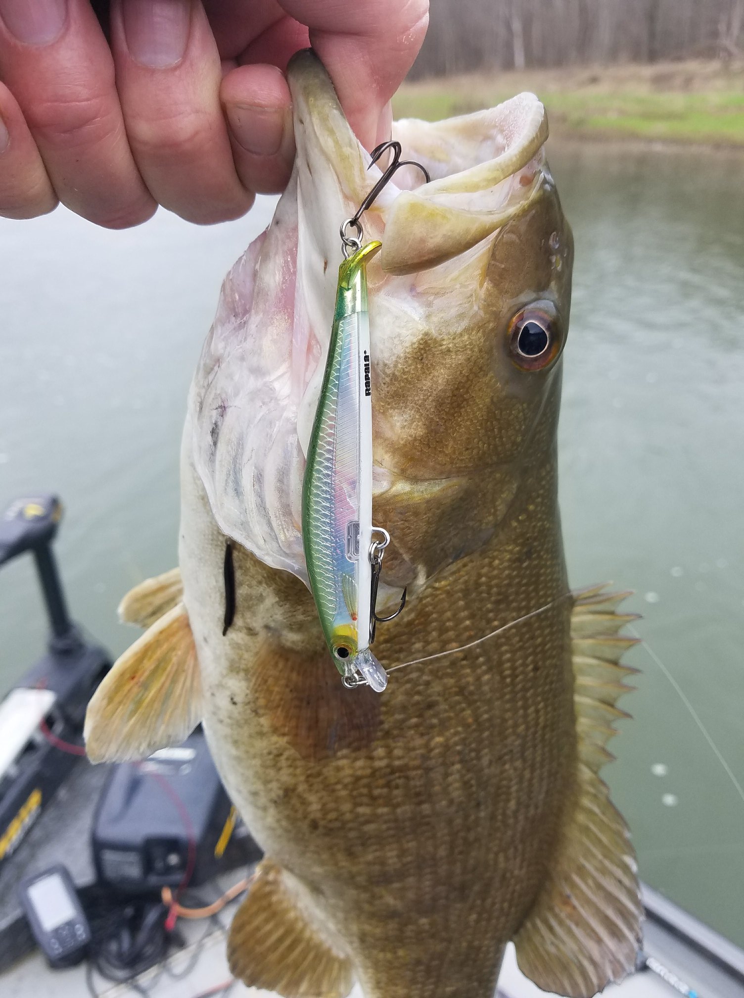 echo ion fly reel 10 12 application__Precision Trolling Color:Frost Silver with Blue Hub New bikini photo from this reel delivers all