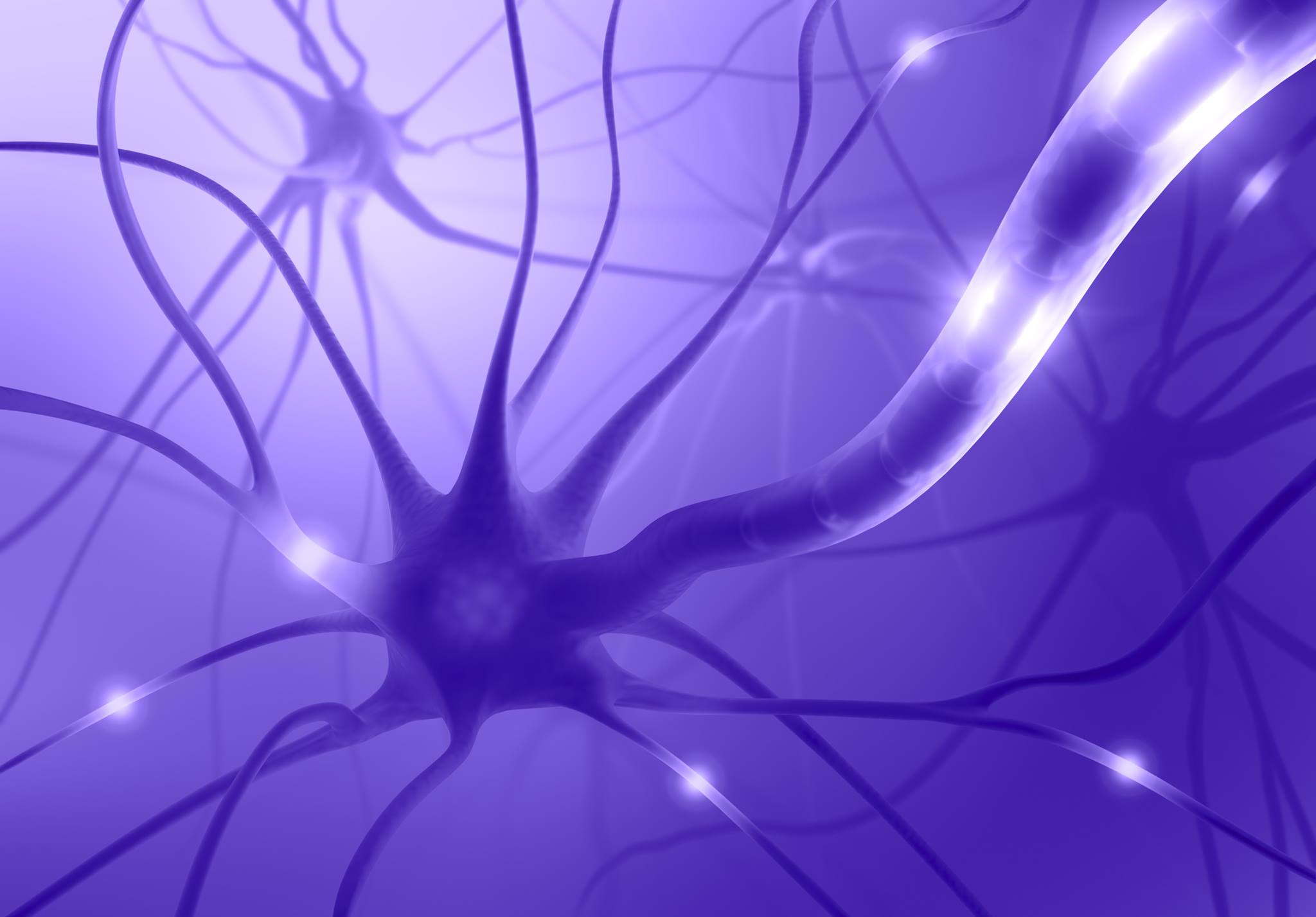 The New Science of Learning: How to Learn in Harmony With Your Brain