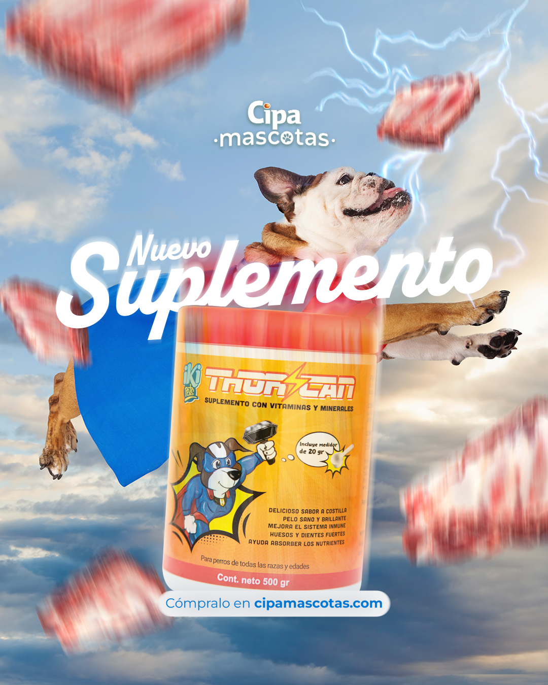 CipaMascotas - Un súper can mejora su sistema inmune con...