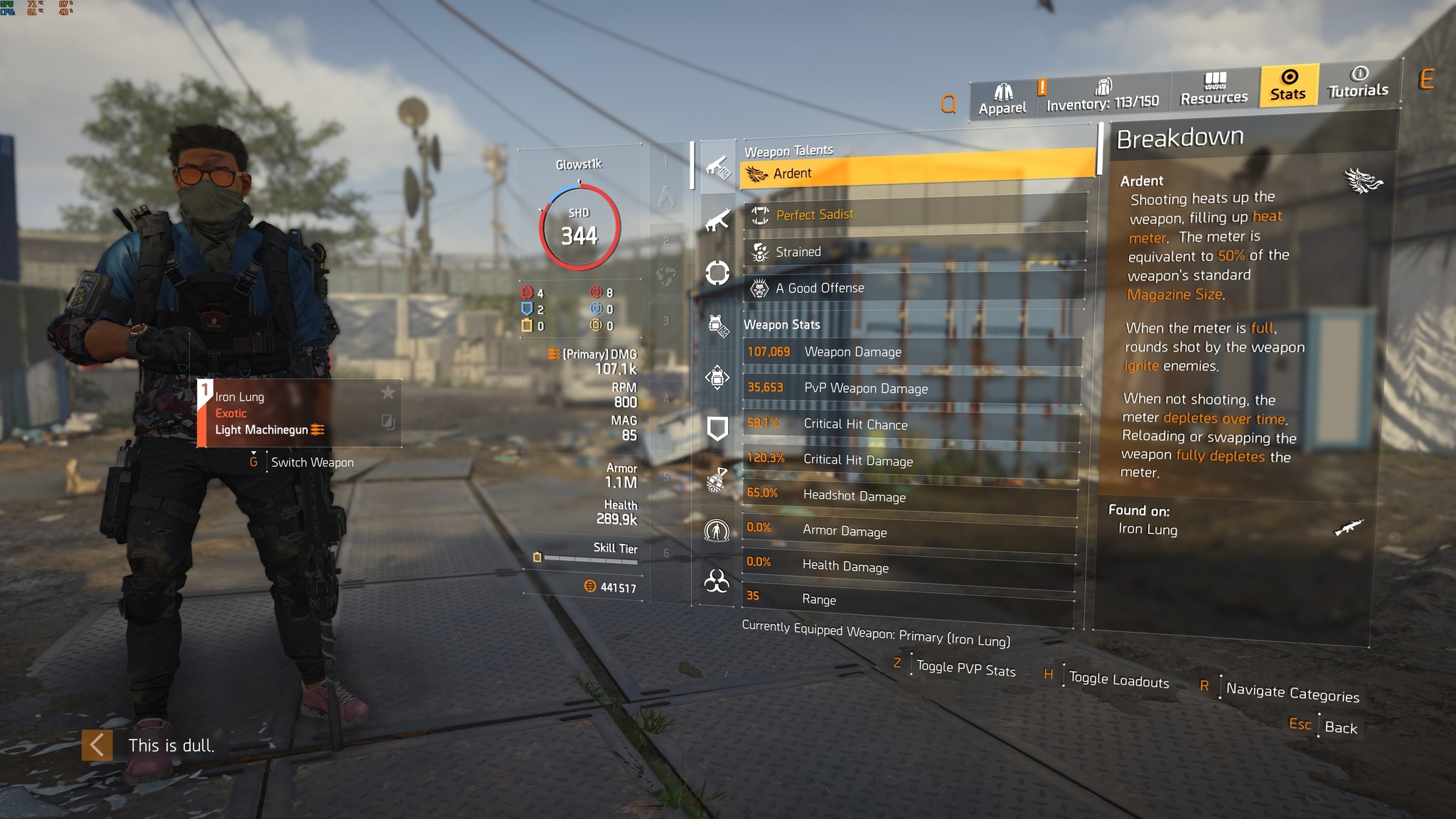 The Division 2 player showcases optimized gear with 45% skill damage