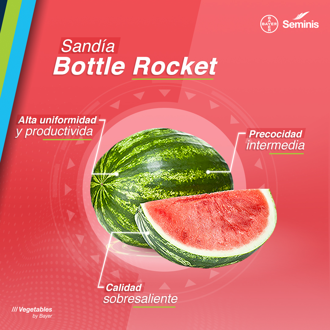 Seminis México - 🍉🍉#BottleRocket tiene buena cobertura, su...