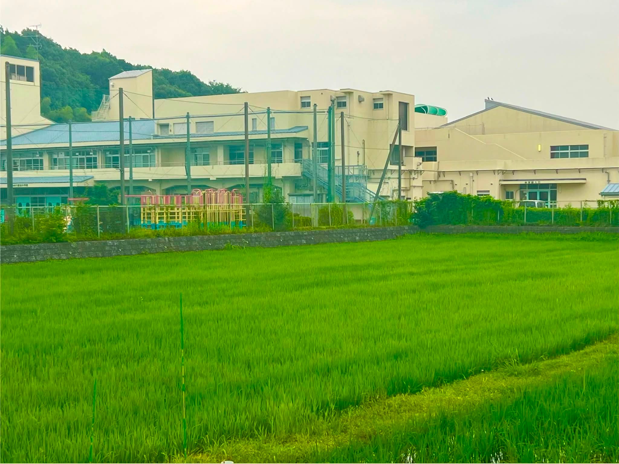 大さん橋