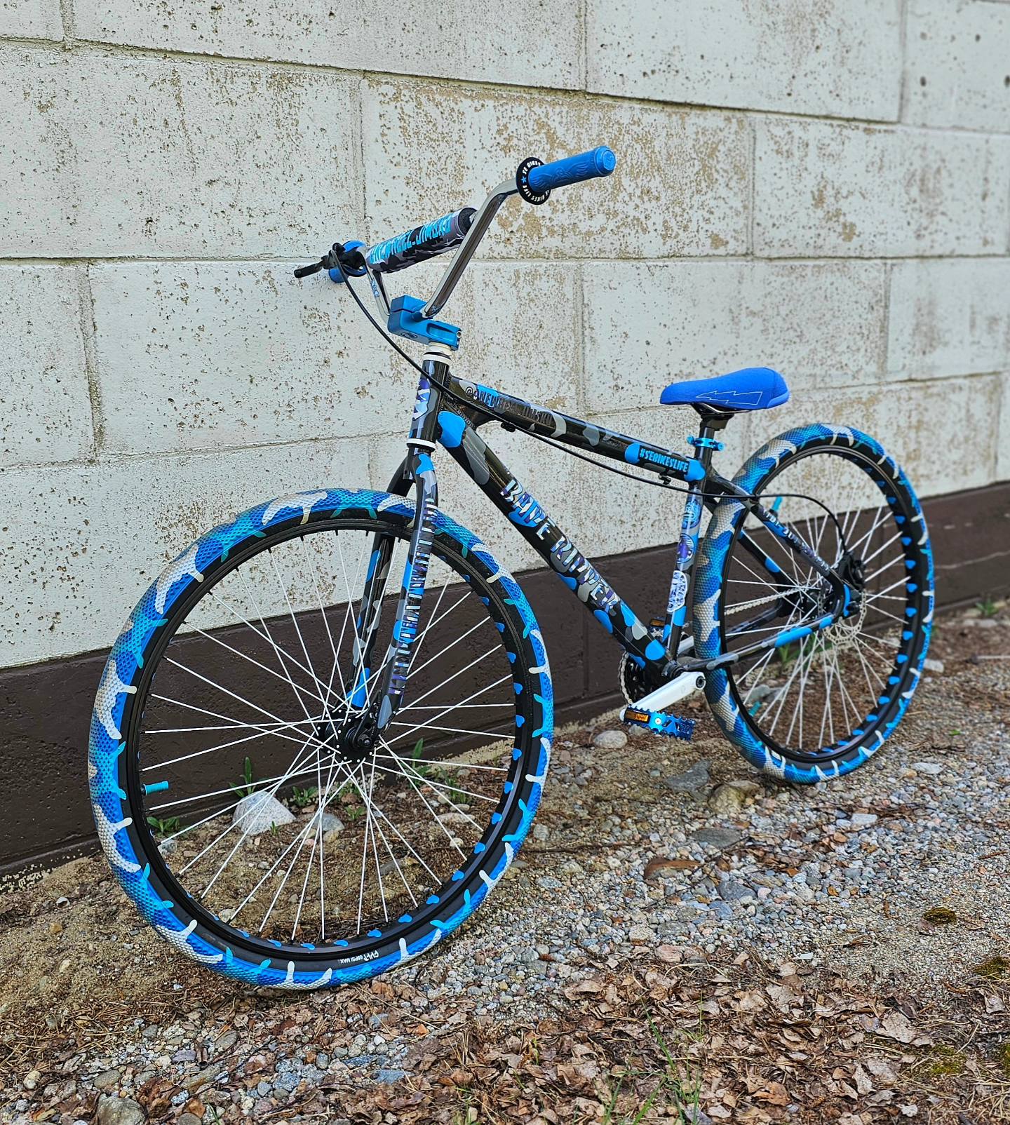 Custom 2019 SE DBlocks Big Ripper with disc brakes