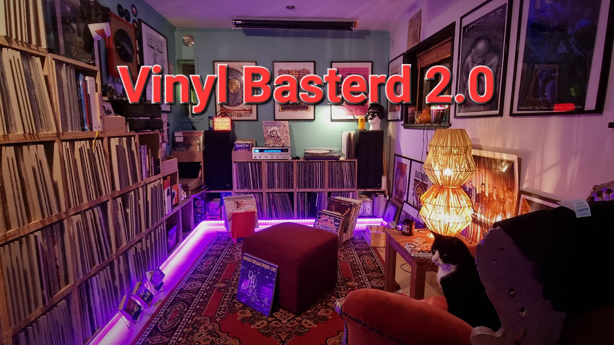 Vinyl Basterd 2.0
