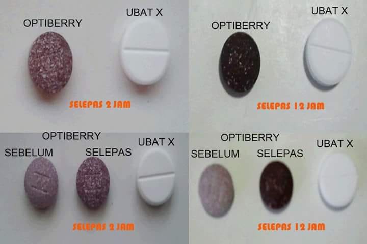 Optiberry pulau - Satu eksperimen telah dijalankan di...