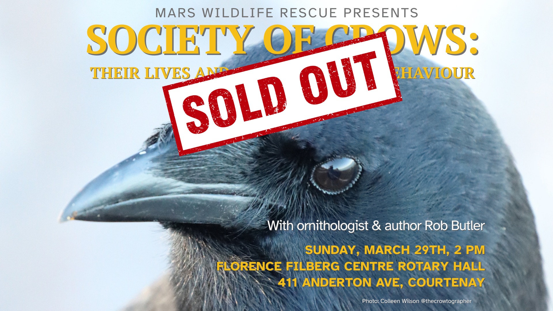 Society of Crows with Dr. Rob Butler