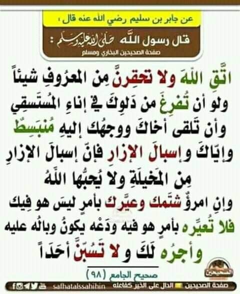 صلي الله عليه وسلم السيدة عائشة رضي الله عنها إنسانة ذات عقل نير وذكاء حاد وعلم جم ولها دور فعال في خدمة الفكر الإسلامي من خلال نقلها لأحاديث رسول الله