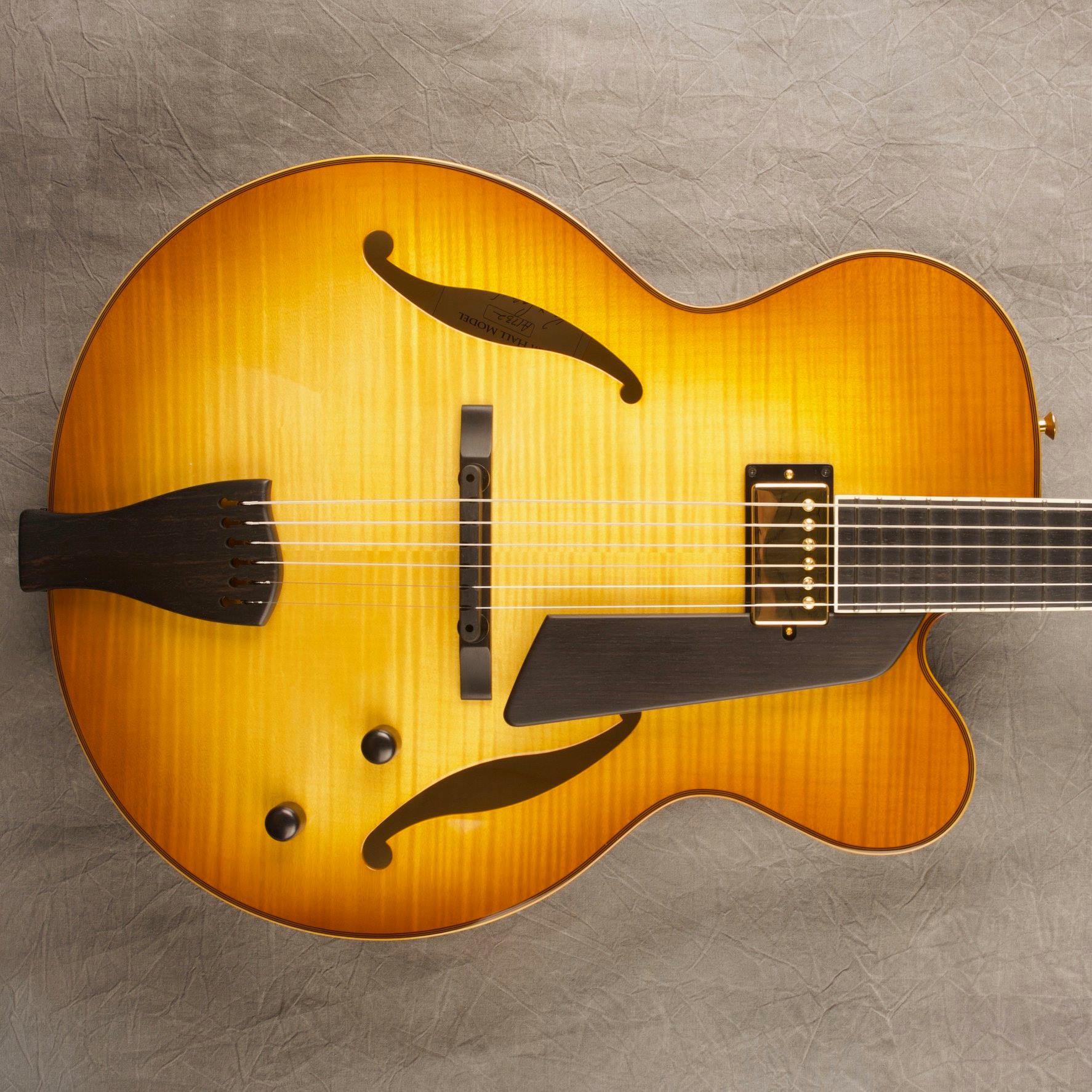 Have you seen our new Frank Vignola archtop? It's a two pickup